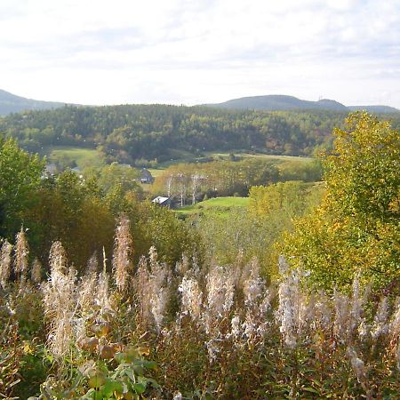 Les Appartements De La Bergeronnette Grandes-Bergeronnes Eksteriør bilde